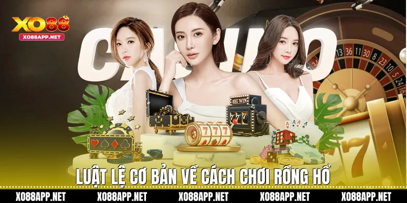 Luật lệ cơ bản về cách chơi rồng hổ